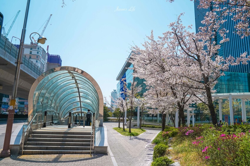 【韓國釜山|住宿】Avani Central Busan Hotel。近國際金融中心地鐵站,商務型飯店,一樓有24小時emart,方