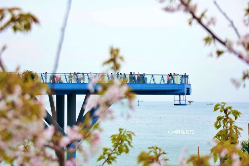 韓國釜山海雲台藍線公園一日遊｜海雲台天空膠囊列車＆海岸小火車交通資訊.票價.搭乘方式