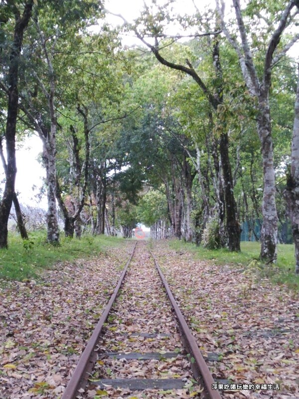 【花蓮。瑞穗鄉】富興小火車20.jpg