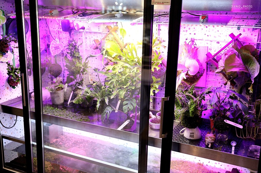 台中西區勤美精油按摩推薦！芳療精油按摩跟身體來場心靈對話吧｜舒活養生館