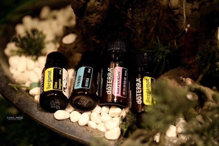 台中西區勤美精油按摩推薦！芳療精油按摩跟身體來場心靈對話吧｜舒活養生館