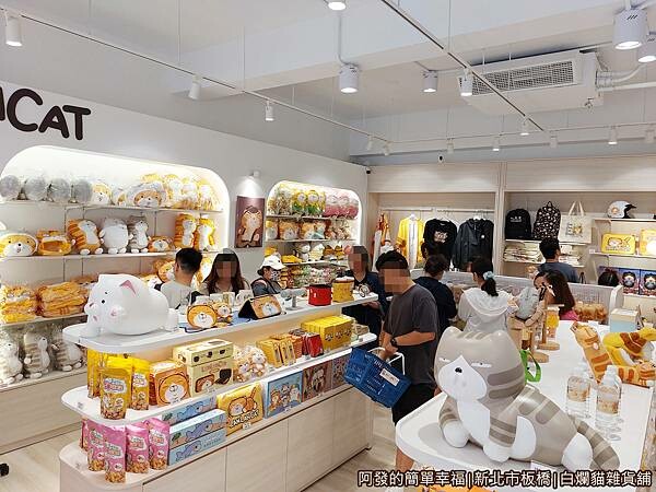 白爛貓雜貨舖05-店內商品區.jpg