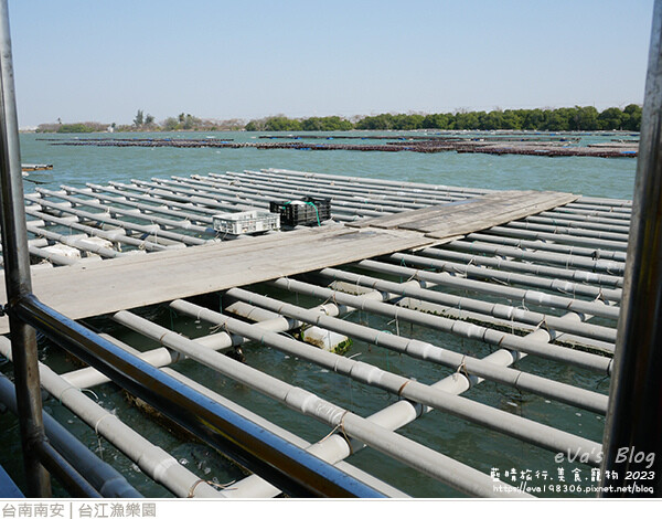 台江漁樂園-16.jpg