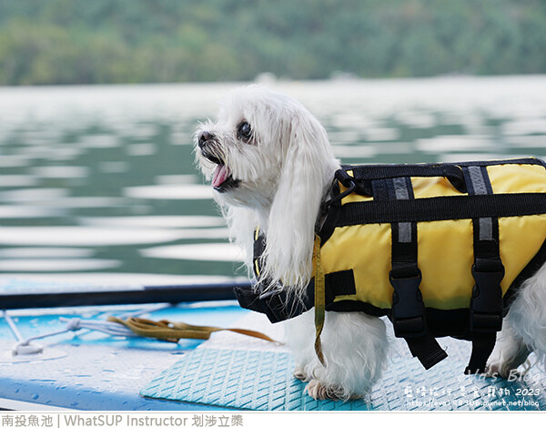 WhatSUP Instructor 划涉立槳-42.jpg