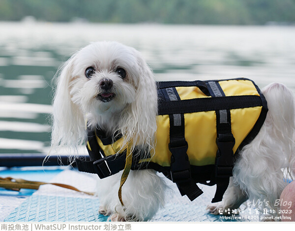 WhatSUP Instructor 划涉立槳-41.jpg