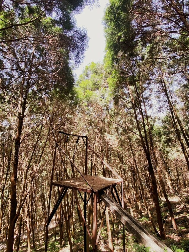 吸取芬多精，夏季消暑肖楠步道，不能錯過宜蘭在地人才知道的養生美食