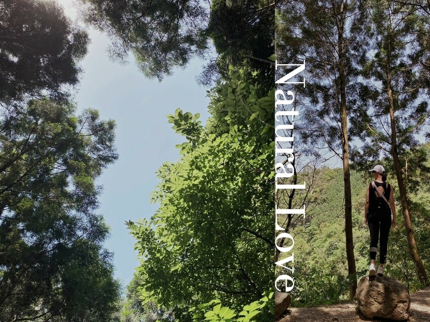 吸取芬多精，夏季消暑肖楠步道，不能錯過宜蘭在地人才知道的養生美食