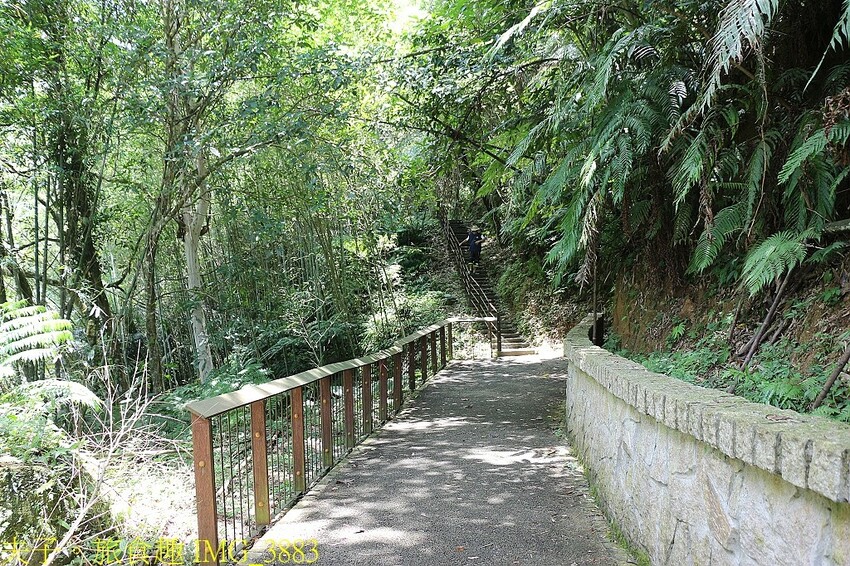 IMG_3883.jpg IMG_3883.jpg