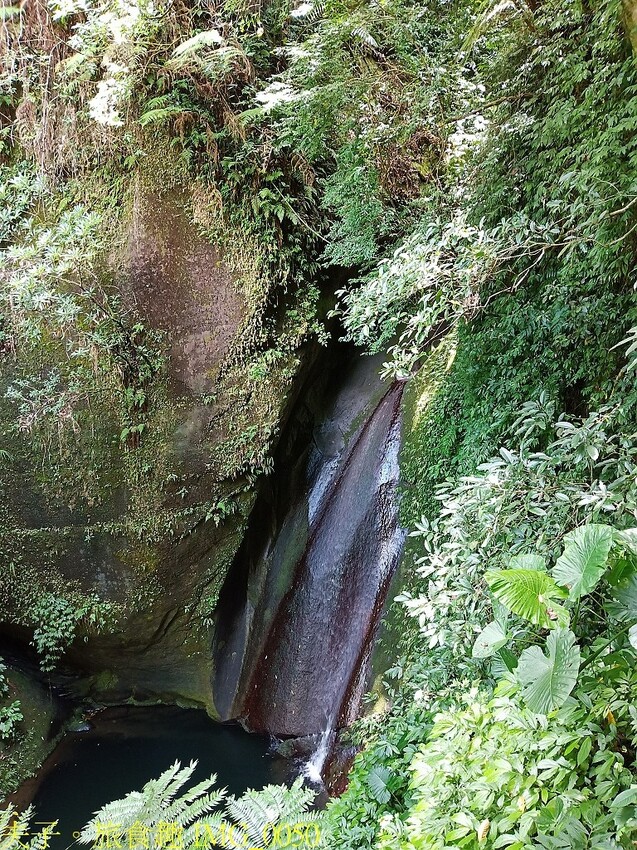 IMG_0050.jpg IMG_0050.jpg