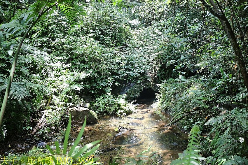 IMG_3859.jpg IMG_3859.jpg