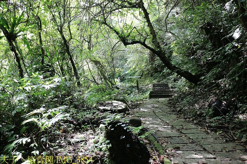 IMG_3854.jpg IMG_3854.jpg