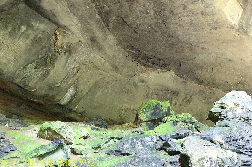 IMG_3922.jpg IMG_3922.jpg