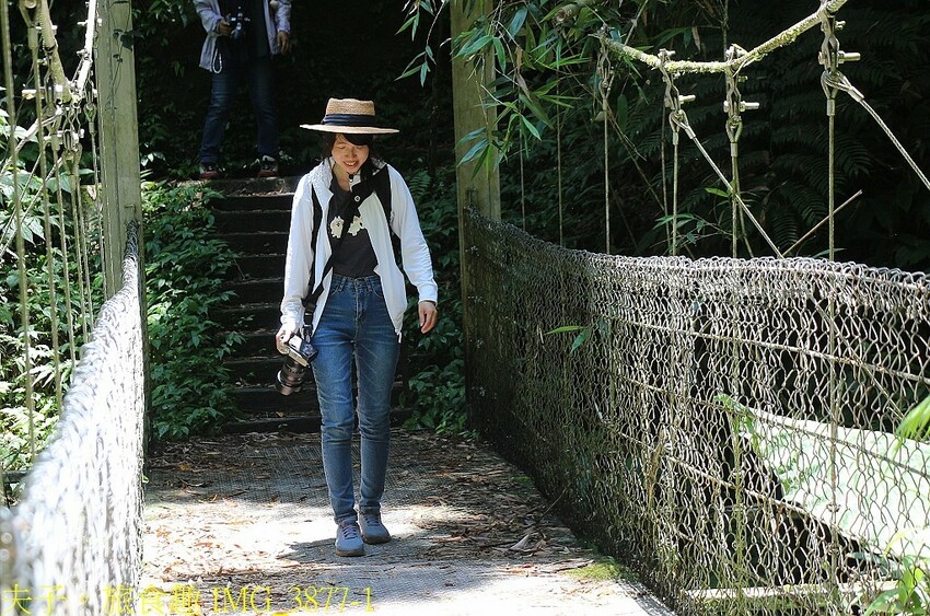 IMG_3877-1.jpg IMG_3877-1.jpg