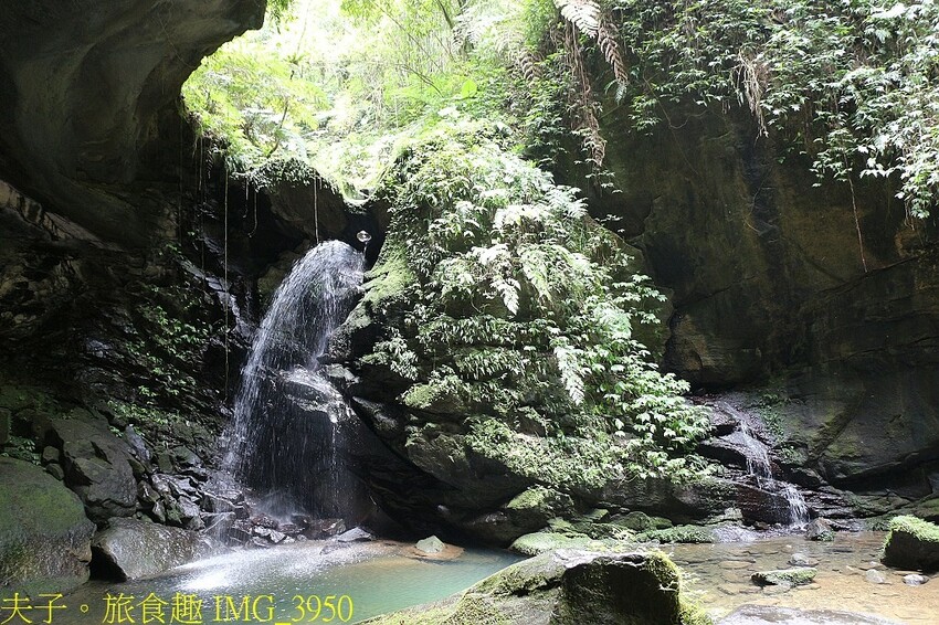 IMG_3950.jpg IMG_3950.jpg