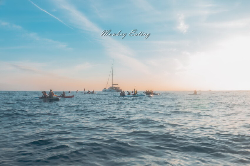 【深澳】象鼻岩SUP日出團｜ODoor專業戶外探險團隊，探索東北角之美，北部SUP立槳推薦 - 貪吃猴的幻想