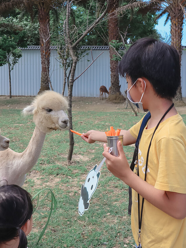 「廢物媽媽育兒農場」 新竹最夯親子一日遊情侶約會新景點,近距離跟水豚君、草泥馬、梅花鹿和柯爾鴨一起玩 預約說明