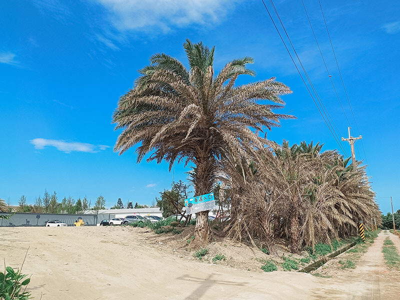「廢物媽媽育兒農場」 新竹最夯親子一日遊情侶約會新景點,近距離跟水豚君、草泥馬、梅花鹿和柯爾鴨一起玩 預約說明