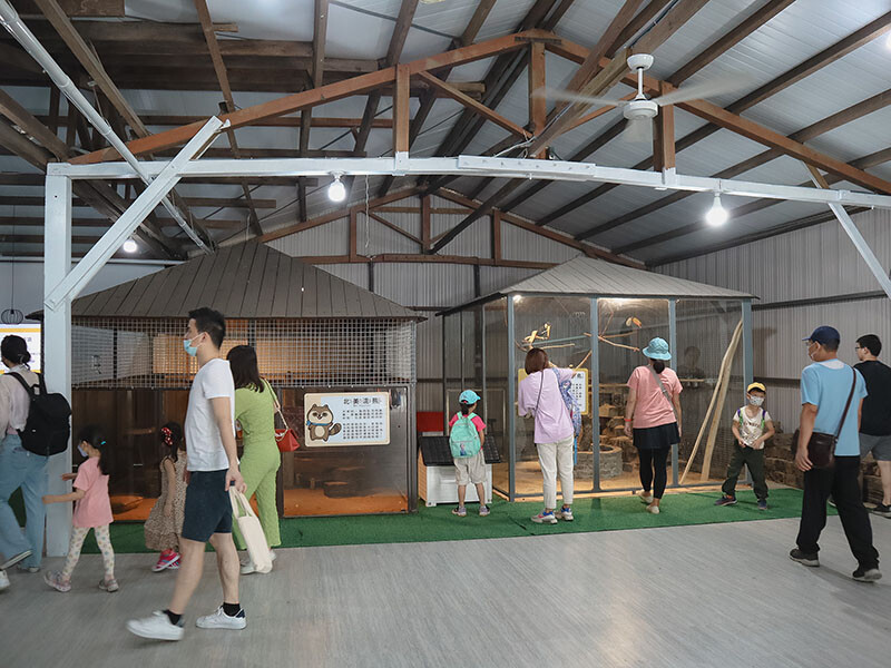 「廢物媽媽育兒農場」 新竹最夯親子一日遊情侶約會新景點,近距離跟水豚君、草泥馬、梅花鹿和柯爾鴨一起玩 預約說明