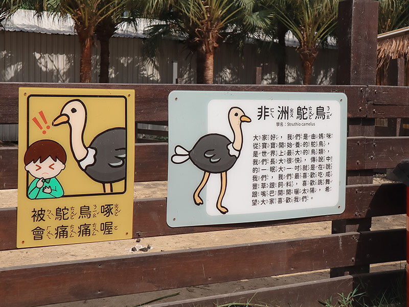 「廢物媽媽育兒農場」 新竹最夯親子一日遊情侶約會新景點,近距離跟水豚君、草泥馬、梅花鹿和柯爾鴨一起玩 預約說明