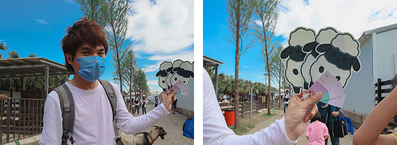 「廢物媽媽育兒農場」 新竹最夯親子一日遊情侶約會新景點,近距離跟水豚君、草泥馬、梅花鹿和柯爾鴨一起玩 預約說明