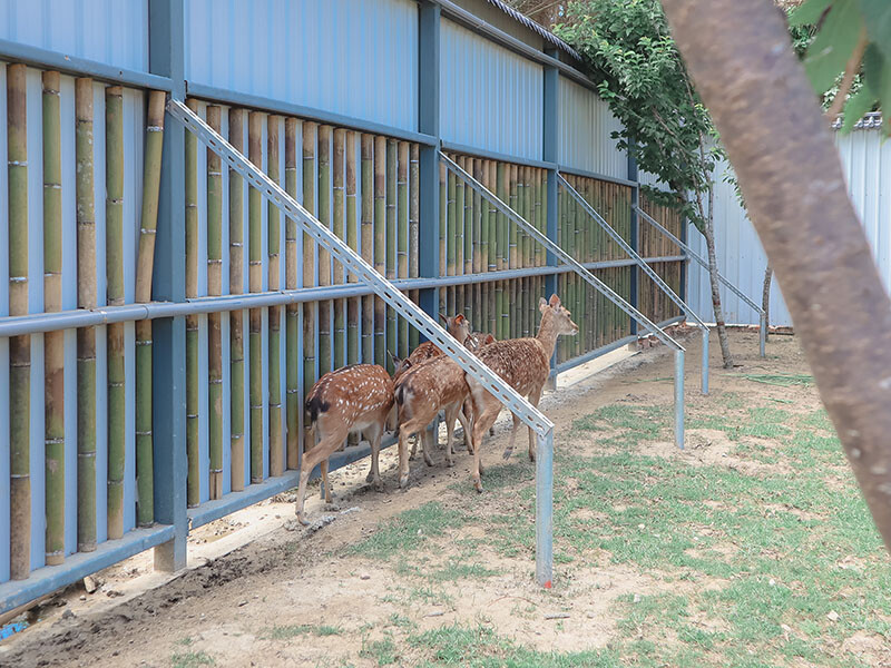 「廢物媽媽育兒農場」 新竹最夯親子一日遊情侶約會新景點,近距離跟水豚君、草泥馬、梅花鹿和柯爾鴨一起玩 預約說明