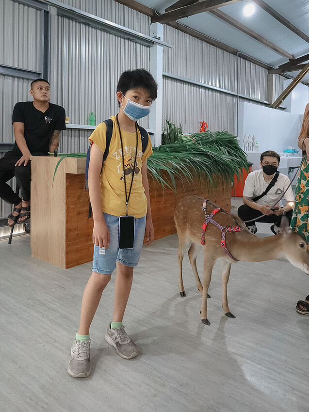 「廢物媽媽育兒農場」 新竹最夯親子一日遊情侶約會新景點,近距離跟水豚君、草泥馬、梅花鹿和柯爾鴨一起玩 預約說明