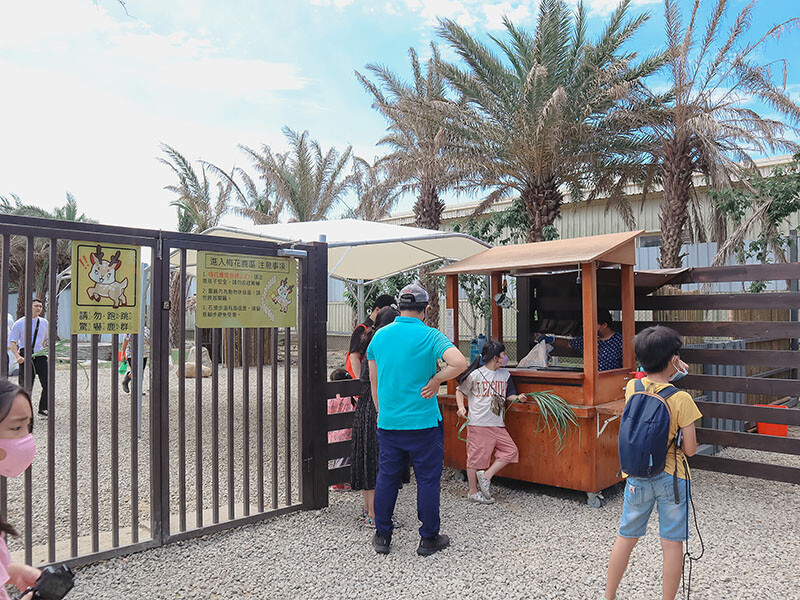 「廢物媽媽育兒農場」 新竹最夯親子一日遊情侶約會新景點,近距離跟水豚君、草泥馬、梅花鹿和柯爾鴨一起玩 預約說明