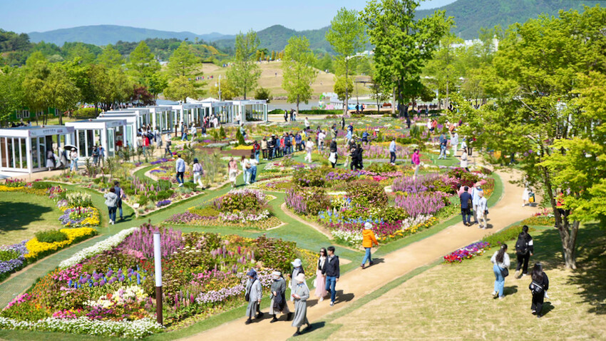 [韓國] 順天4天3夜懶人包！5大必去景點＆必吃傳統美食｜2023順天灣國際園藝博覽會