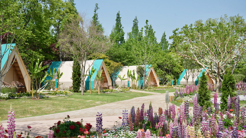 [韓國] 順天4天3夜懶人包！5大必去景點＆必吃傳統美食｜2023順天灣國際園藝博覽會