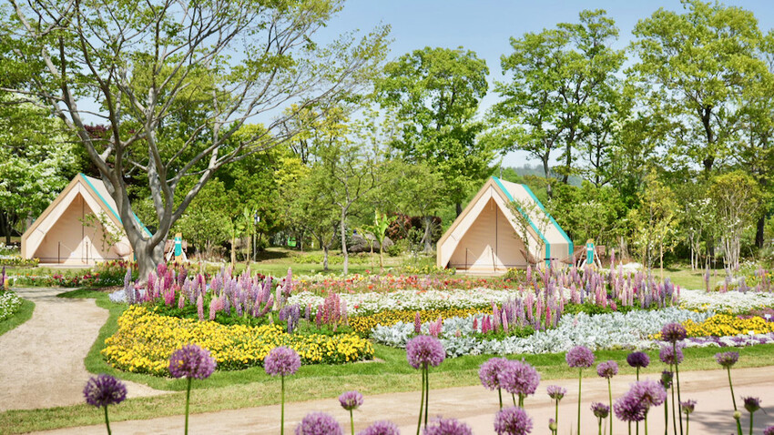 [韓國] 順天4天3夜懶人包！5大必去景點＆必吃傳統美食｜2023順天灣國際園藝博覽會