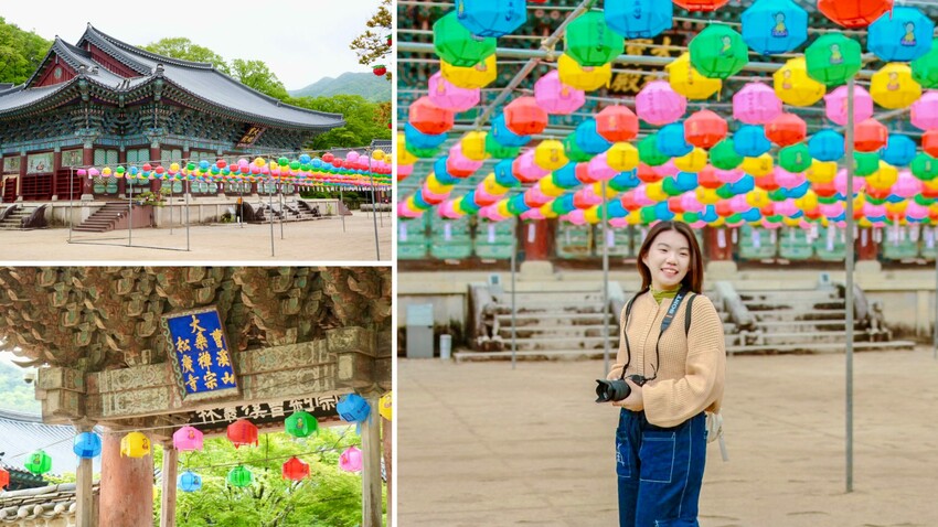 [韓國] 順天4天3夜懶人包！5大必去景點＆必吃傳統美食｜2023順天灣國際園藝博覽會