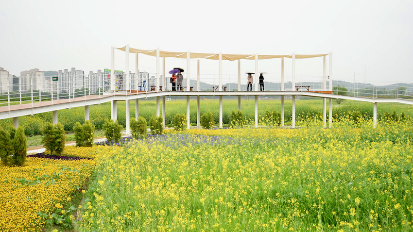 [韓國] 順天4天3夜懶人包！5大必去景點＆必吃傳統美食｜2023順天灣國際園藝博覽會