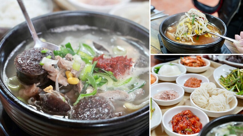 [韓國] 順天4天3夜懶人包！5大必去景點＆必吃傳統美食｜2023順天灣國際園藝博覽會