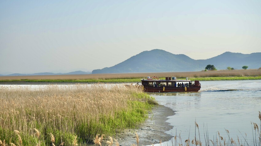 [韓國] 順天4天3夜懶人包！5大必去景點＆必吃傳統美食｜2023順天灣國際園藝博覽會