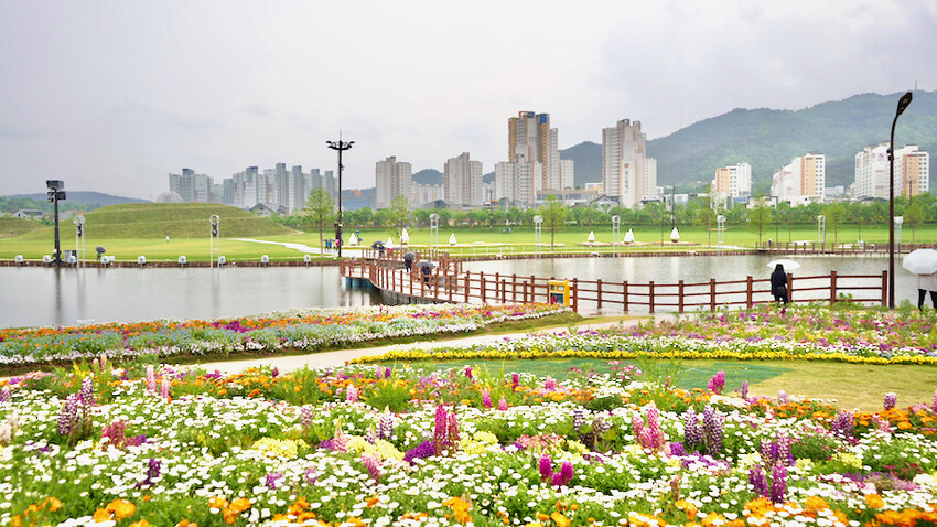 [韓國] 順天4天3夜懶人包！5大必去景點＆必吃傳統美食｜2023順天灣國際園藝博覽會