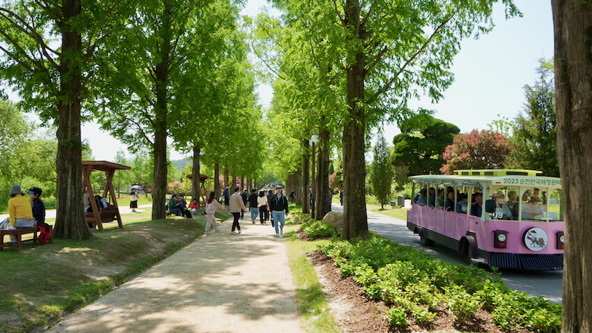 [韓國] 順天4天3夜懶人包！5大必去景點＆必吃傳統美食｜2023順天灣國際園藝博覽會