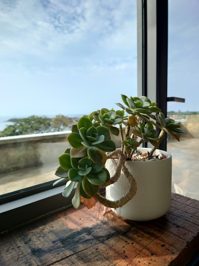 我們在海邊/廢墟工業風/海景咖啡廳 [三芝淺水灣]