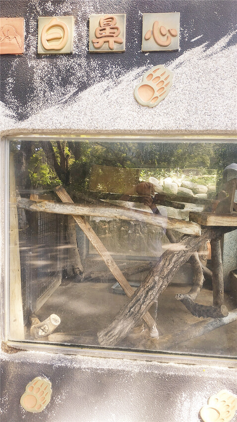 旅遊｜重新開張高雄壽山動物園一日遊  ，新建天空橋看水豚