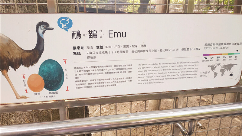 旅遊｜重新開張高雄壽山動物園一日遊  ，新建天空橋看水豚