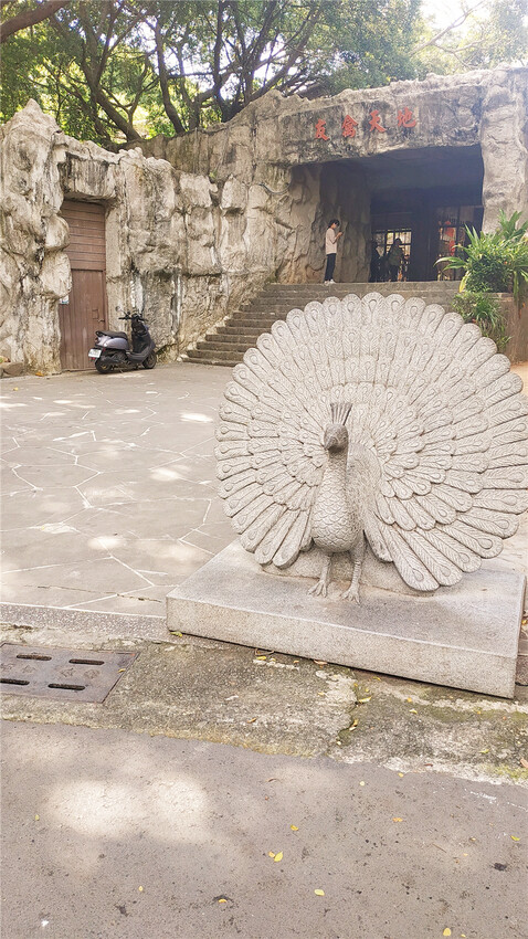 旅遊｜重新開張高雄壽山動物園一日遊  ，新建天空橋看水豚