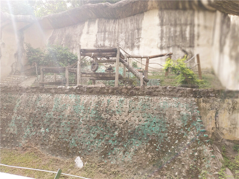 旅遊｜重新開張高雄壽山動物園一日遊  ，新建天空橋看水豚
