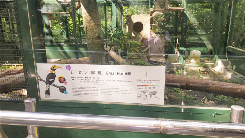 旅遊｜重新開張高雄壽山動物園一日遊  ，新建天空橋看水豚