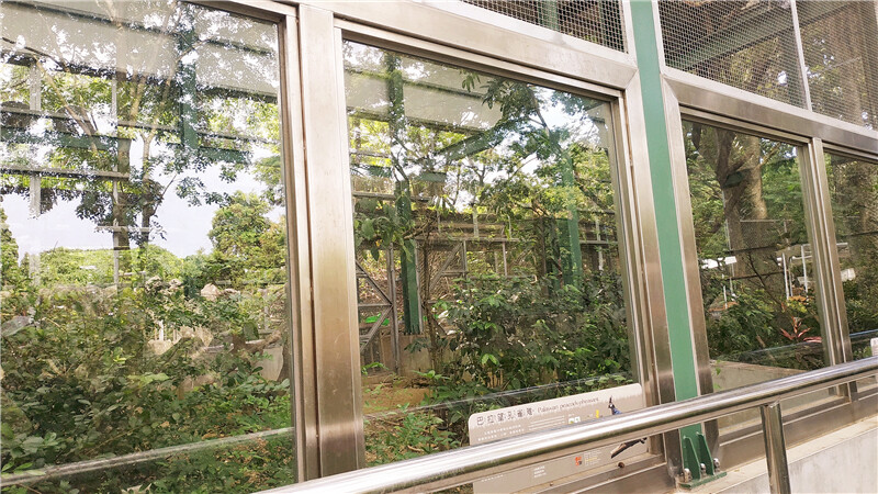 旅遊｜重新開張高雄壽山動物園一日遊  ，新建天空橋看水豚