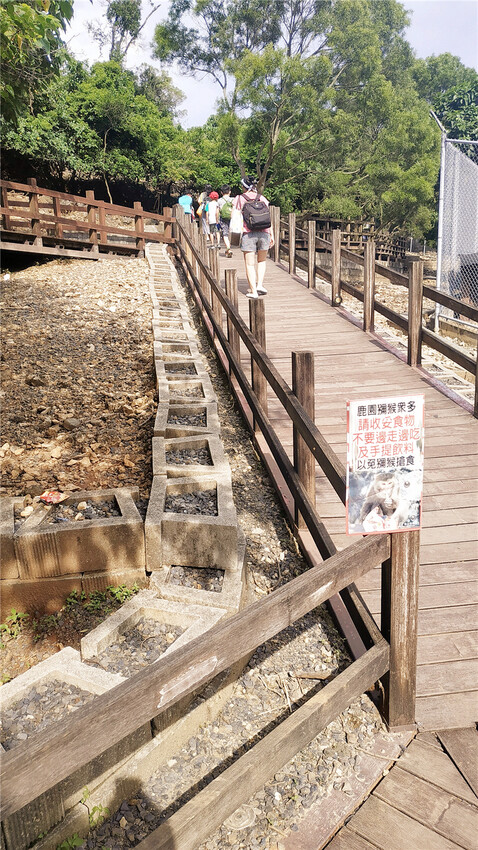 旅遊｜重新開張高雄壽山動物園一日遊  ，新建天空橋看水豚