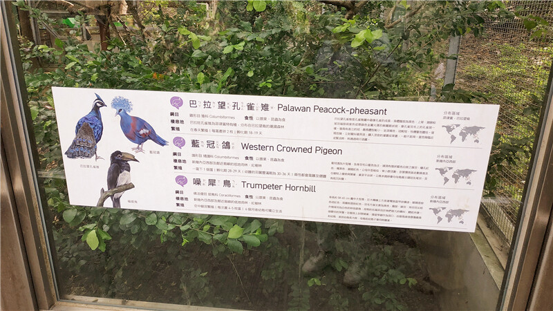 旅遊｜重新開張高雄壽山動物園一日遊  ，新建天空橋看水豚