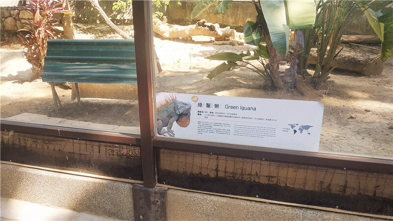 旅遊｜重新開張高雄壽山動物園一日遊  ，新建天空橋看水豚