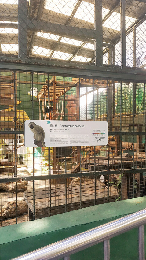 旅遊｜重新開張高雄壽山動物園一日遊  ，新建天空橋看水豚