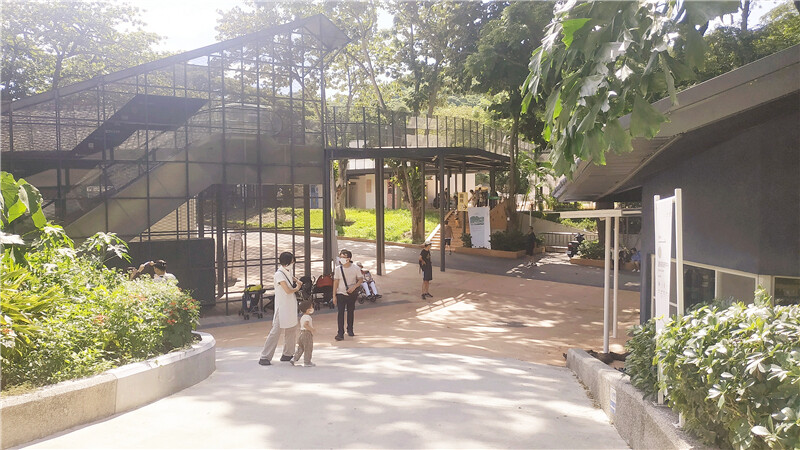 旅遊｜重新開張高雄壽山動物園一日遊  ，新建天空橋看水豚