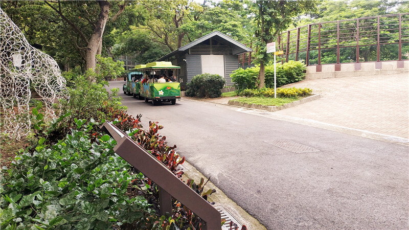 旅遊｜重新開張高雄壽山動物園一日遊  ，新建天空橋看水豚