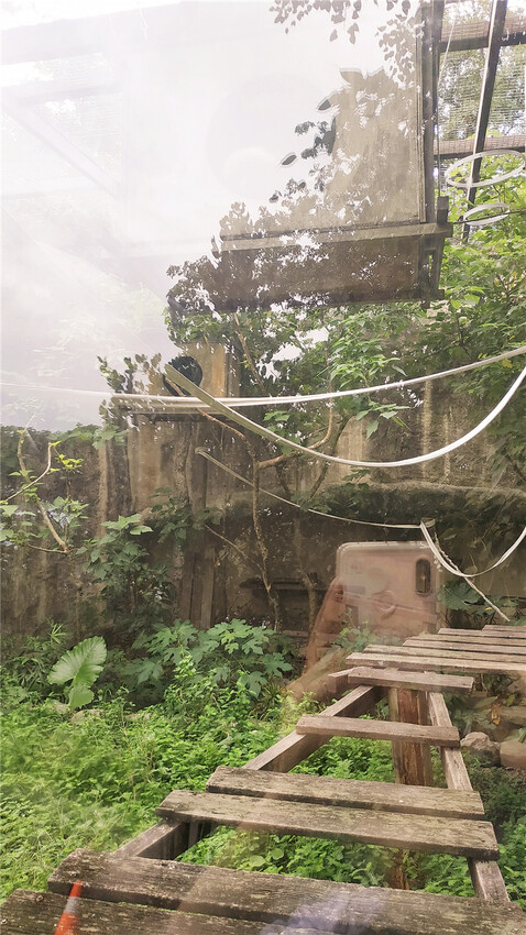 旅遊｜重新開張高雄壽山動物園一日遊  ，新建天空橋看水豚